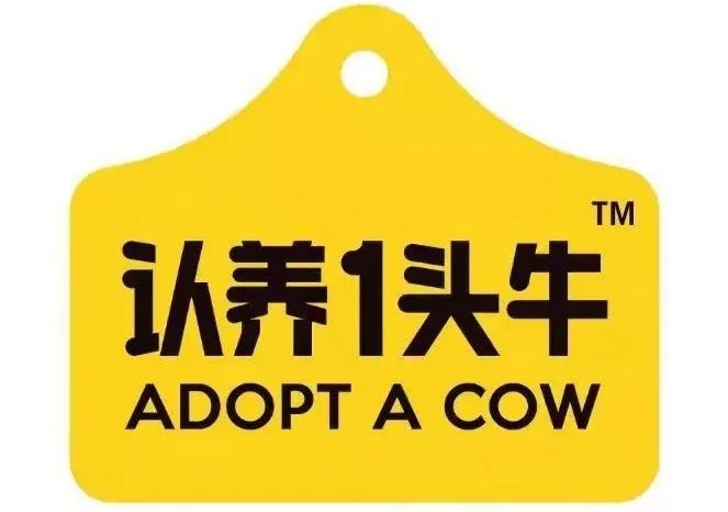 点击速看！认养一头牛、菊乐食品、骑士乳业IPO最新进展！