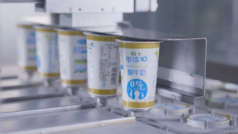 点击速看！认养一头牛、菊乐食品、骑士乳业IPO最新进展！