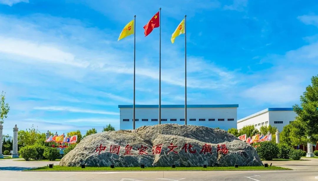 复盘2022,发现山庄集团的“向上密码”
