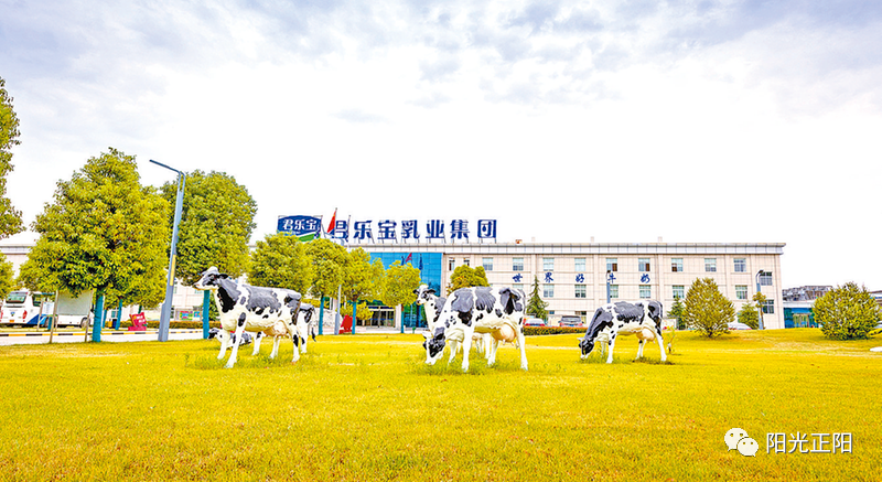 君乐宝为何再度加码这地？董事长魏立华表示……