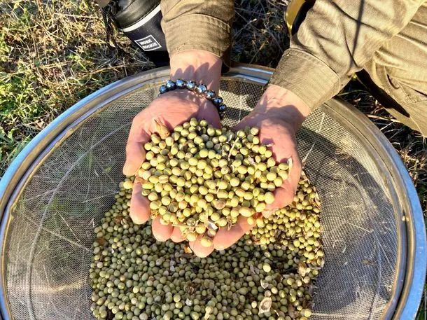 销量飙升384%,日本百年豆腐品牌借植物肉东风焕新生长