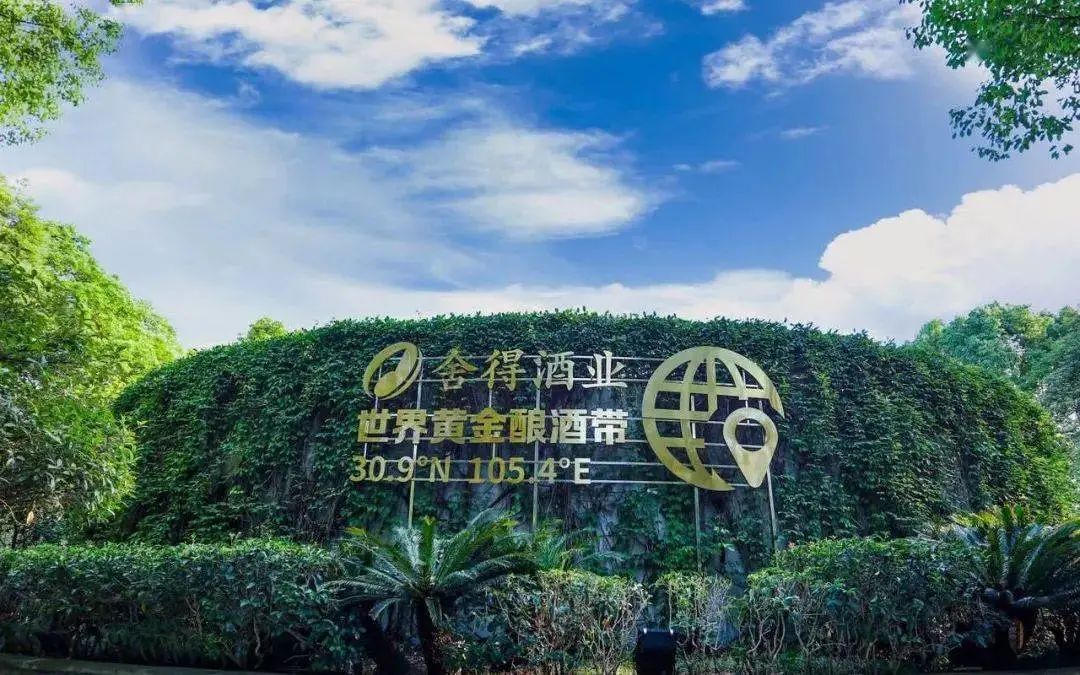 舍得酒业陈柏蓉建议:中国白酒要“科创、出海”