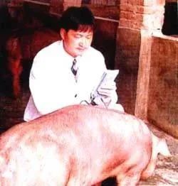 千亿巨头！这个河南的首富，一年卖掉6000多万头猪！