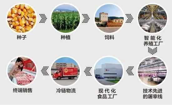 泰国首富中国养猪:拟募资150亿!
