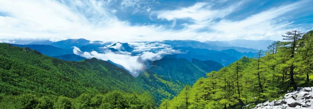 大商欲入局区域名酒?把握这五项关键点