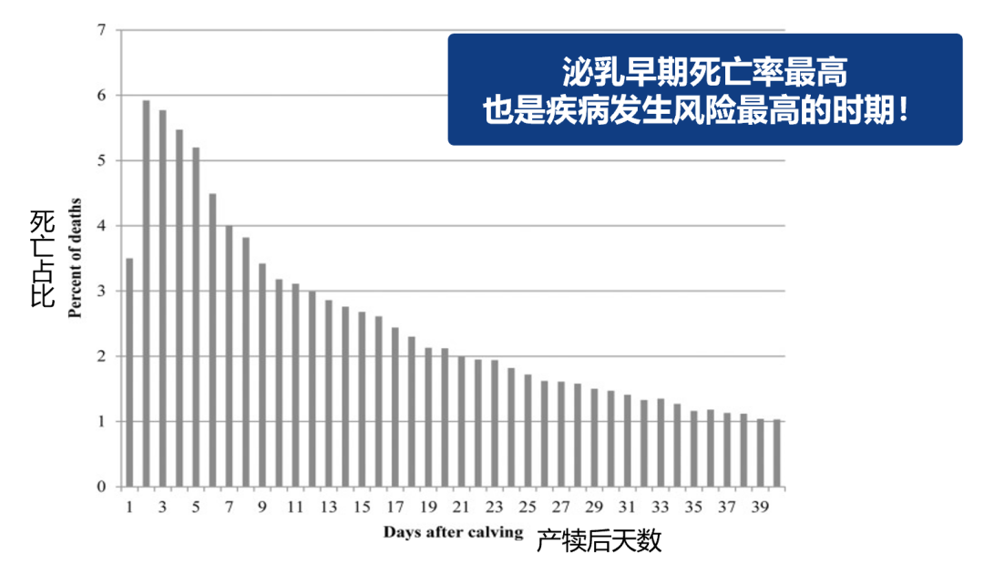 奶牛长寿,牧场是不是更赚钱