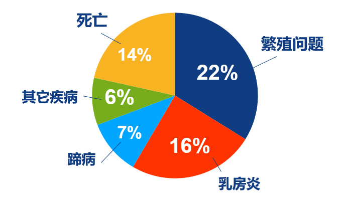 奶牛长寿,牧场是不是更赚钱