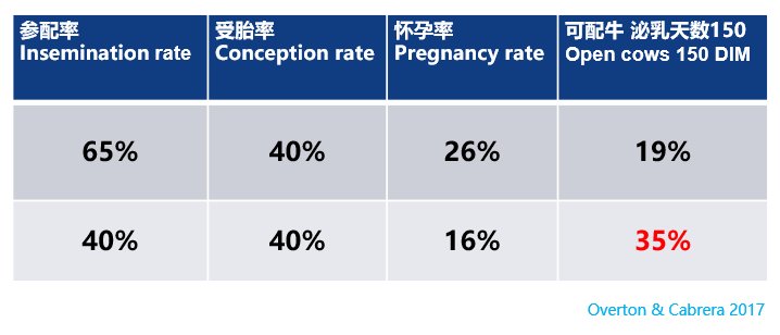 奶牛长寿,牧场是不是更赚钱