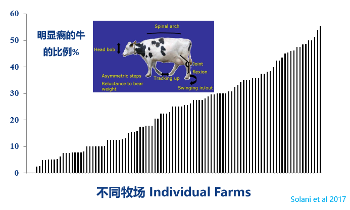 奶牛长寿,牧场是不是更赚钱