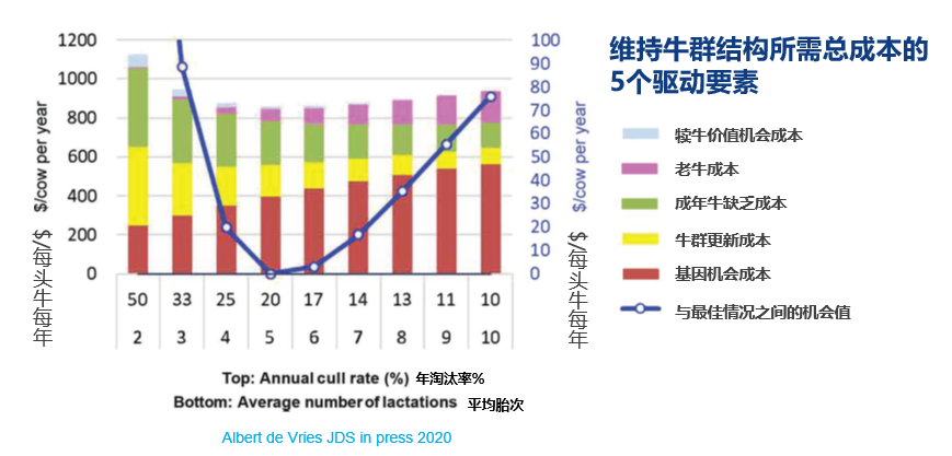 奶牛长寿,牧场是不是更赚钱