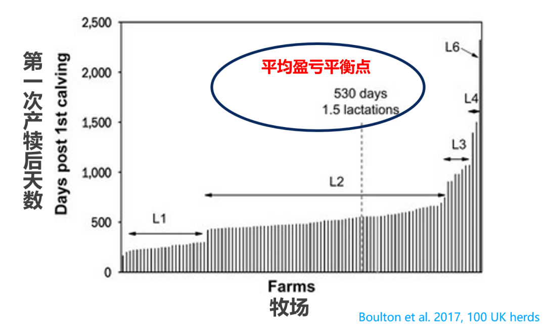 奶牛长寿,牧场是不是更赚钱