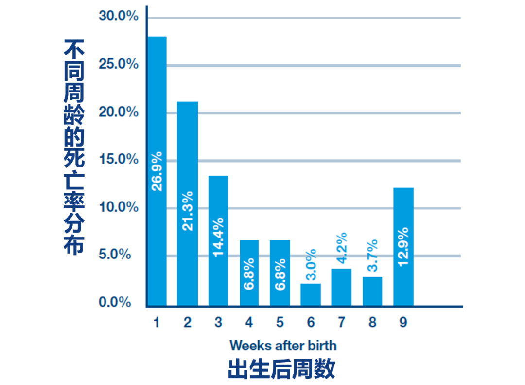 奶牛长寿,牧场是不是更赚钱