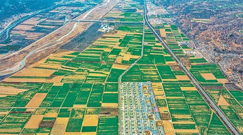 唐仁健:锚定建设农业强国目标,切实抓好“三农”工作