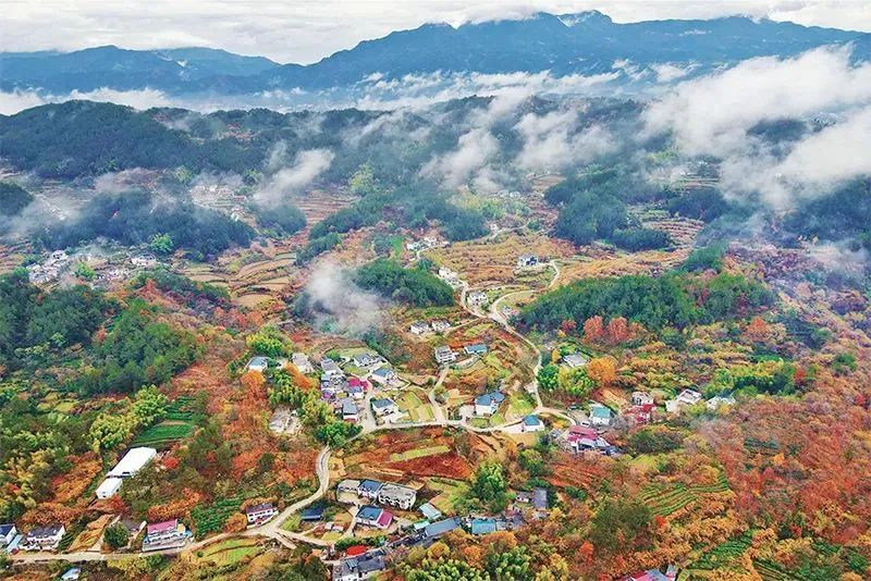 唐仁健:锚定建设农业强国目标,切实抓好“三农”工作