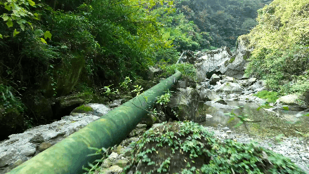 农夫山泉最美广告片，终于等到续集了！
