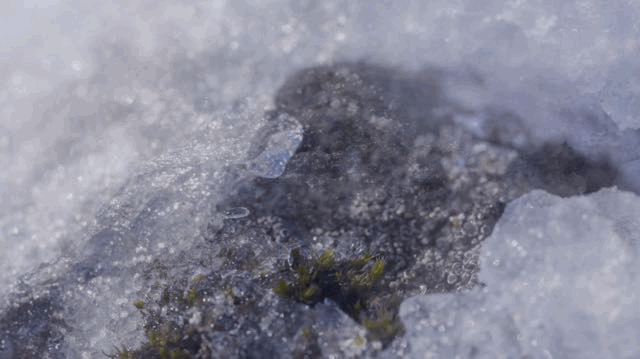 农夫山泉最美广告片，终于等到续集了！