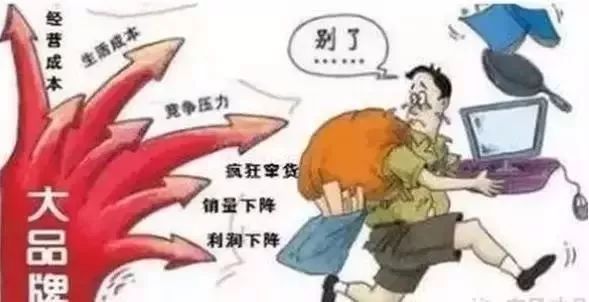 我不干了!河南、安徽、浙江等大经销商,彻底放弃大品牌