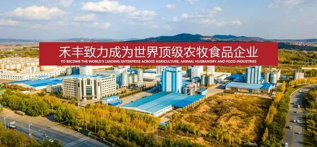 禾丰股份2022年净利5.1亿元,增长333.3%