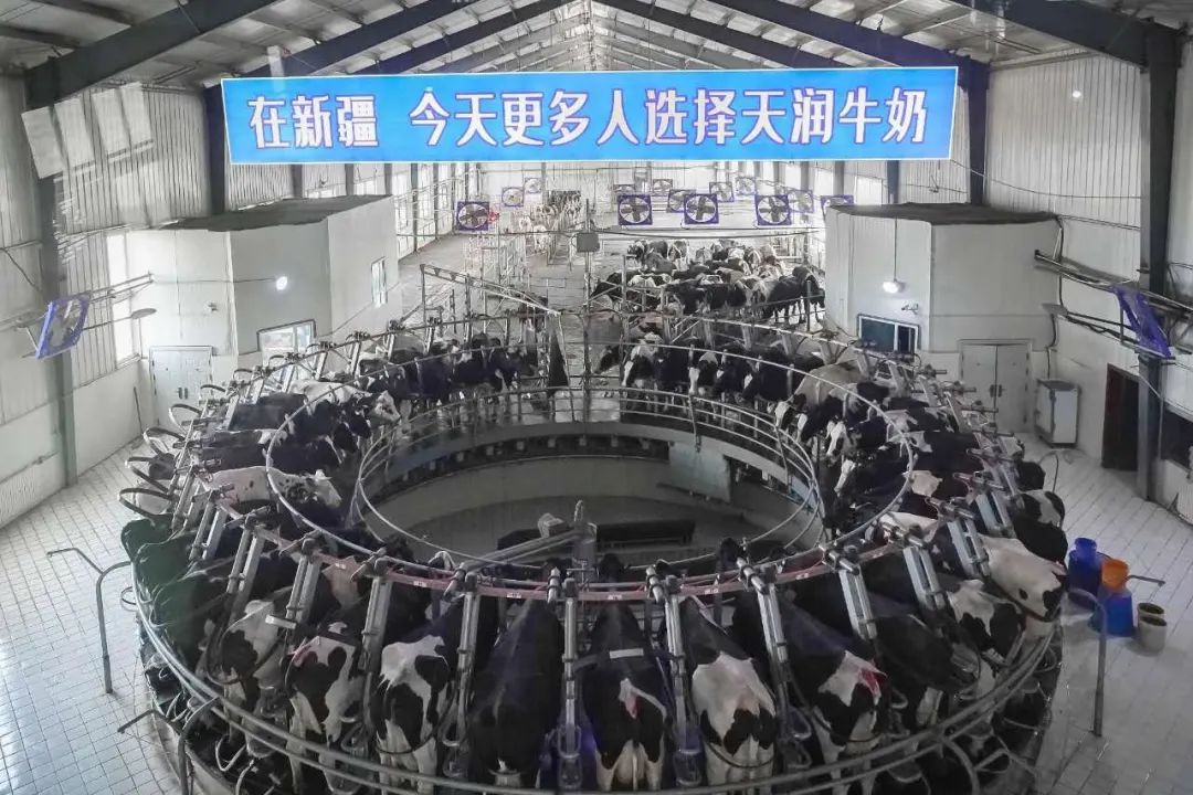 天润乳业多了一个全国奶业休闲观光牧场