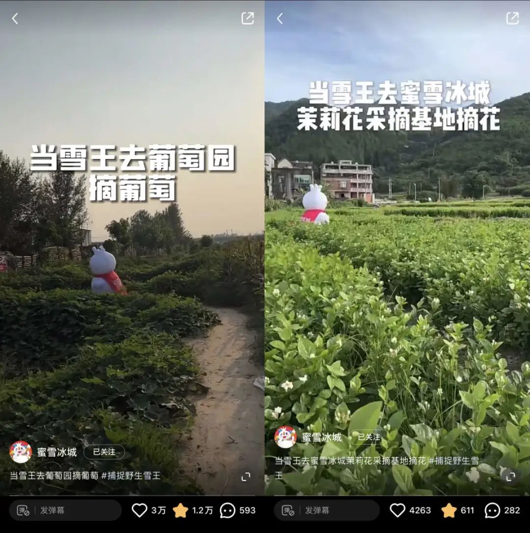 食品行业的下一波内卷，从种田开始