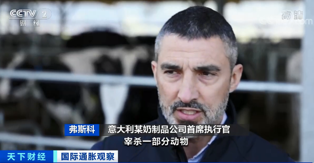 这个国家,饲料库存告急!大量奶牛或被宰杀…