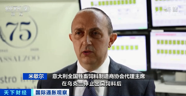 这个国家,饲料库存告急!大量奶牛或被宰杀…