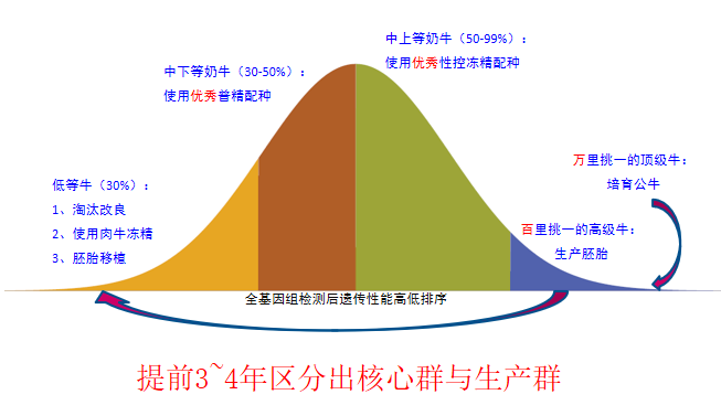 刘光磊博士:与时俱进的规模牧场育种新思路