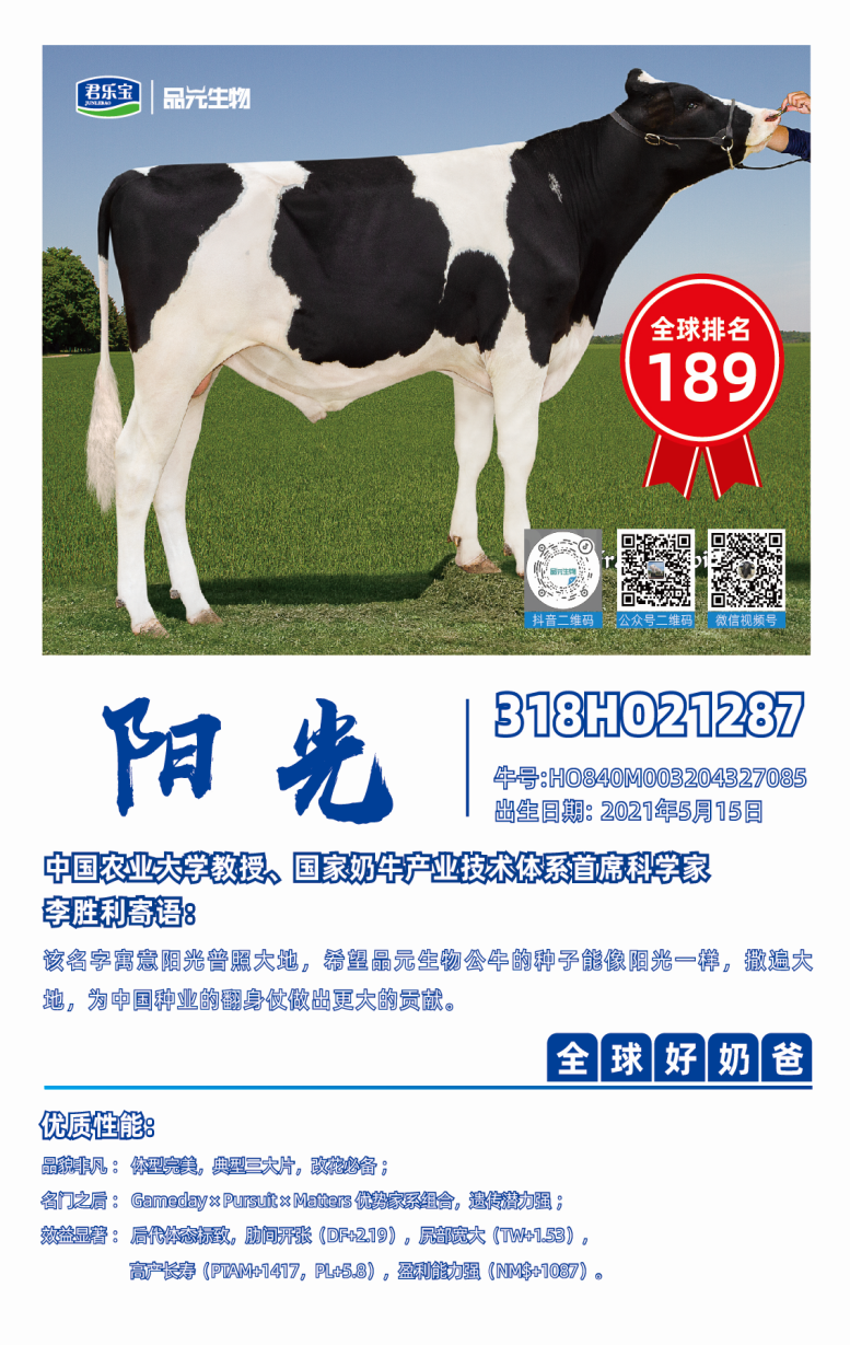 刘光磊博士:与时俱进的规模牧场育种新思路