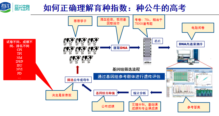 刘光磊博士:与时俱进的规模牧场育种新思路