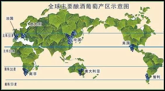 如何对消费者解释进口红酒与国产红酒的区别?