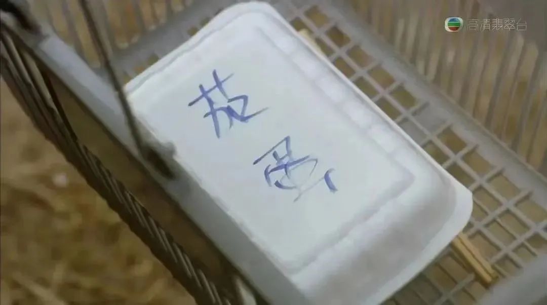 15块钱40个菜,物美价廉还量大:全网打卡的“工地盒饭”,正在悄悄变味