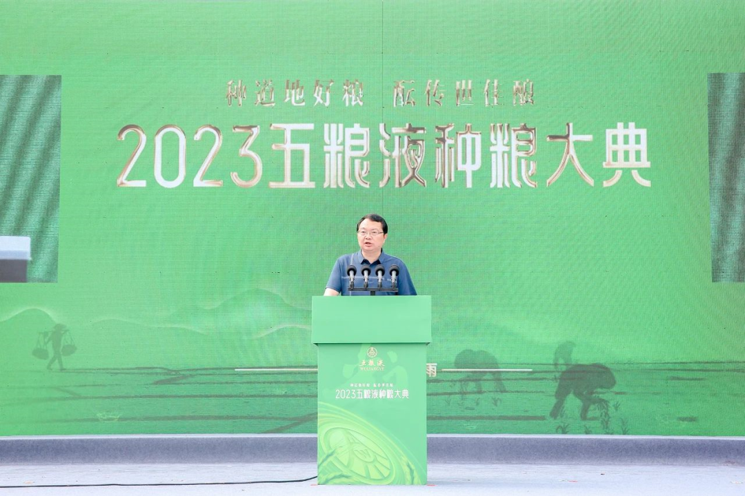 好粮酿好酒!从五粮液种粮大典,看大国浓香“和美底色”