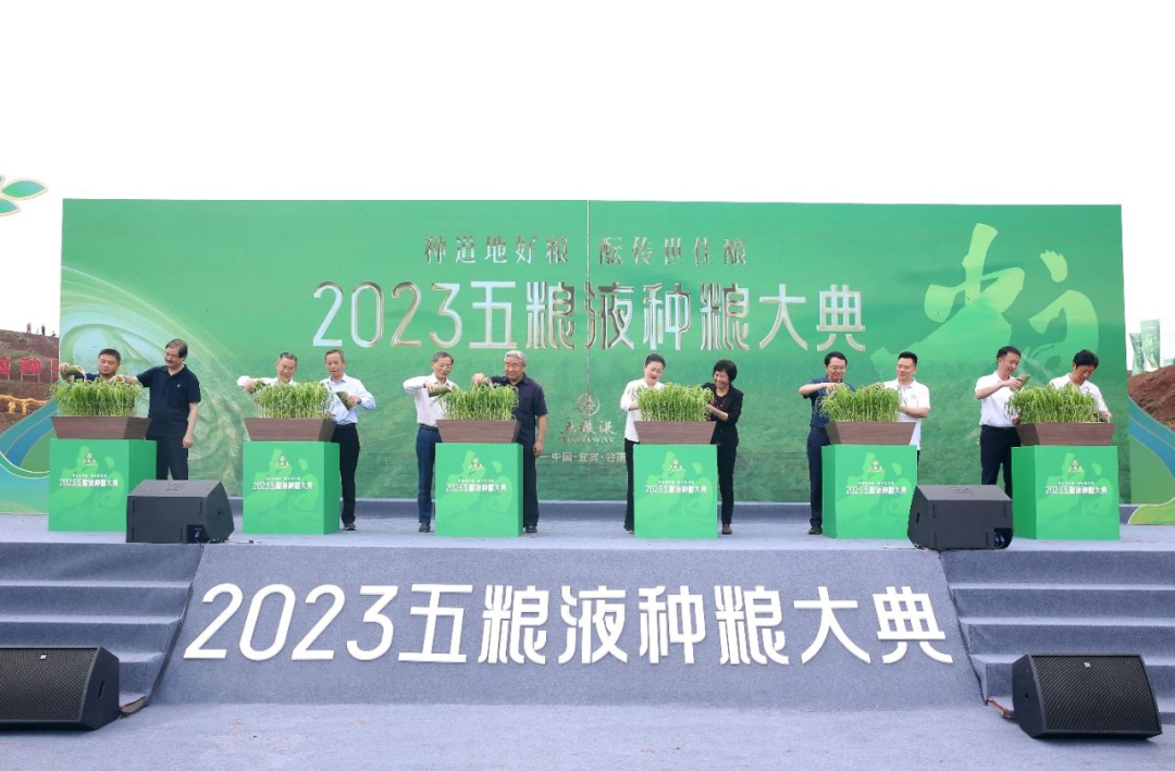 好粮酿好酒!从五粮液种粮大典,看大国浓香“和美底色”