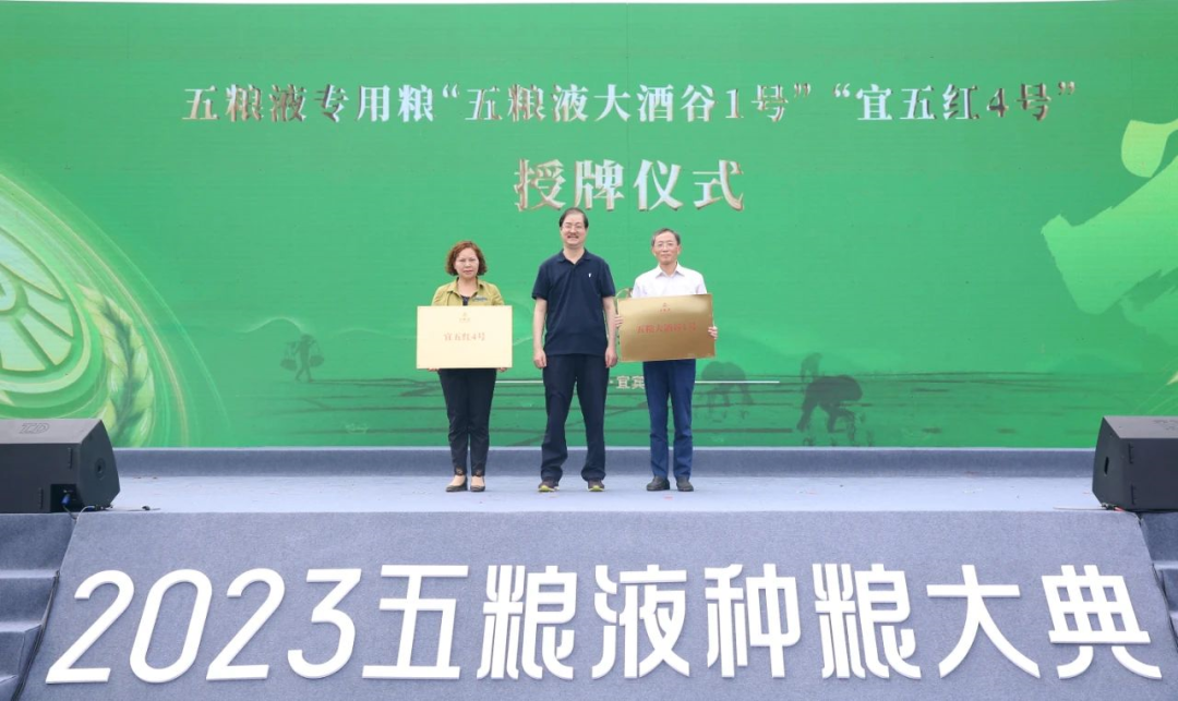 好粮酿好酒!从五粮液种粮大典,看大国浓香“和美底色”