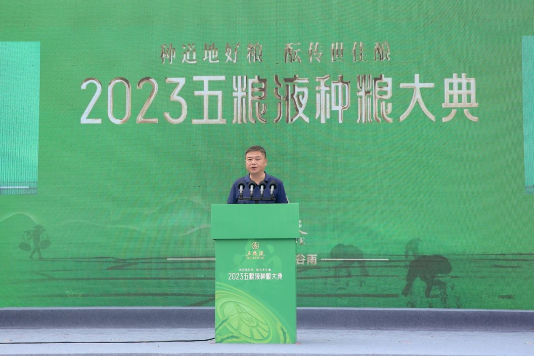 好粮酿好酒!从五粮液种粮大典,看大国浓香“和美底色”