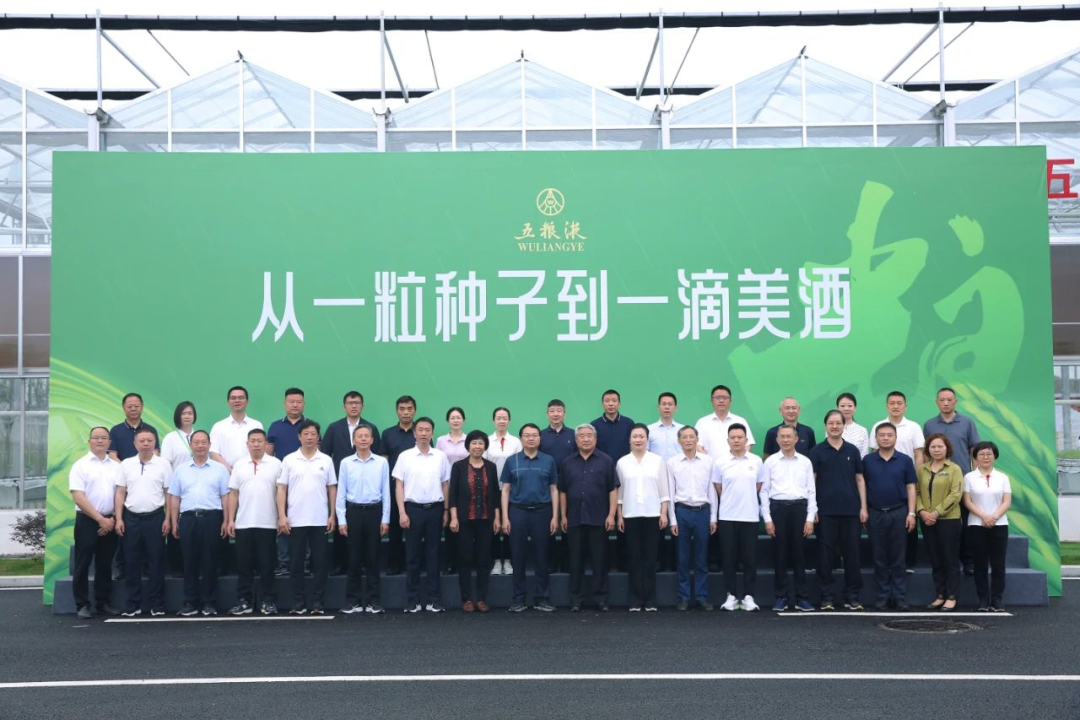 好粮酿好酒!从五粮液种粮大典,看大国浓香“和美底色”