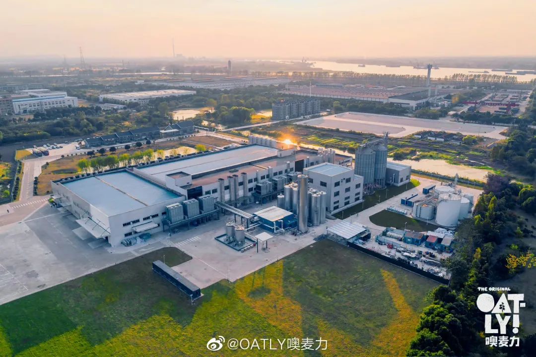 跟踪研究24个月，OATLY的上限在哪里？
