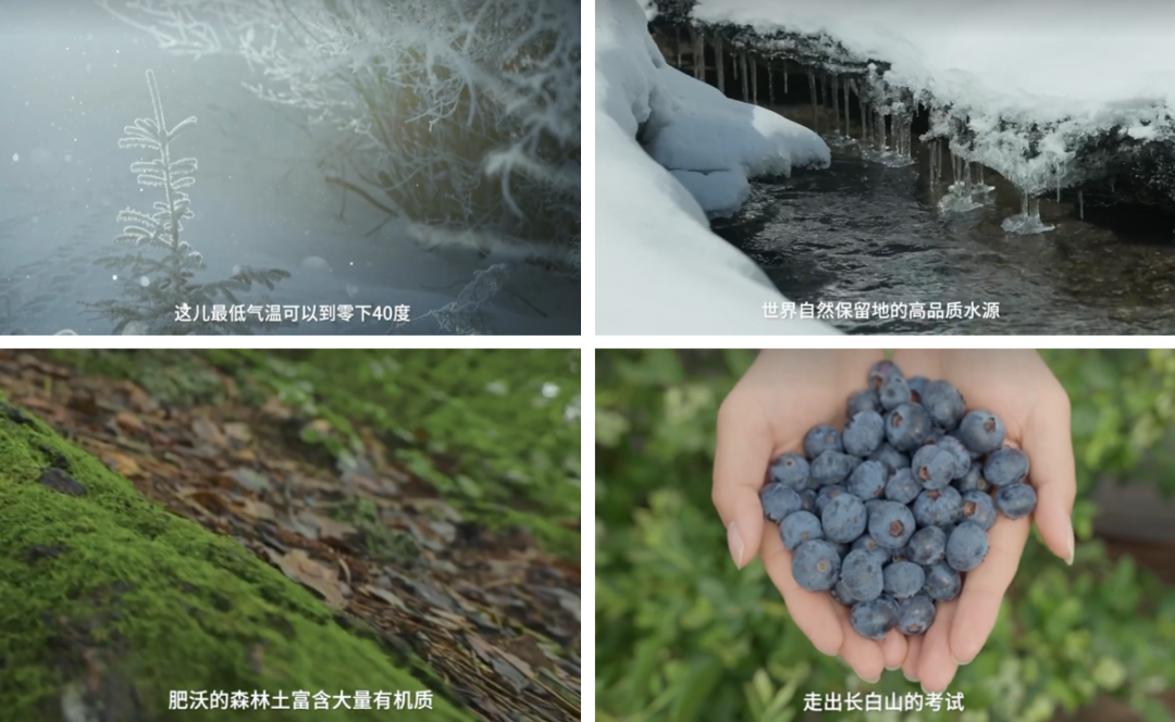 安慕希用“原产地+水果”还能讲述什么故事？