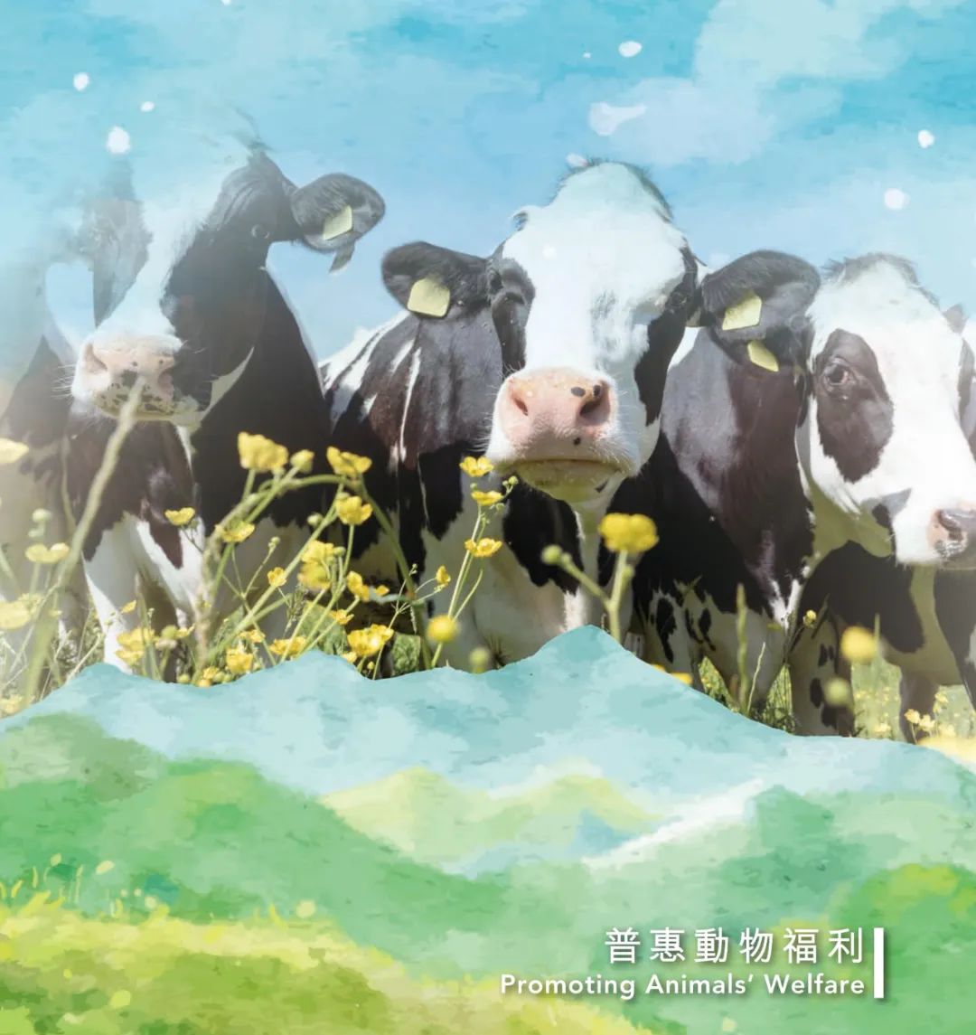 十年ESG践行之路，现代牧业提交2022年“绿色成绩单”