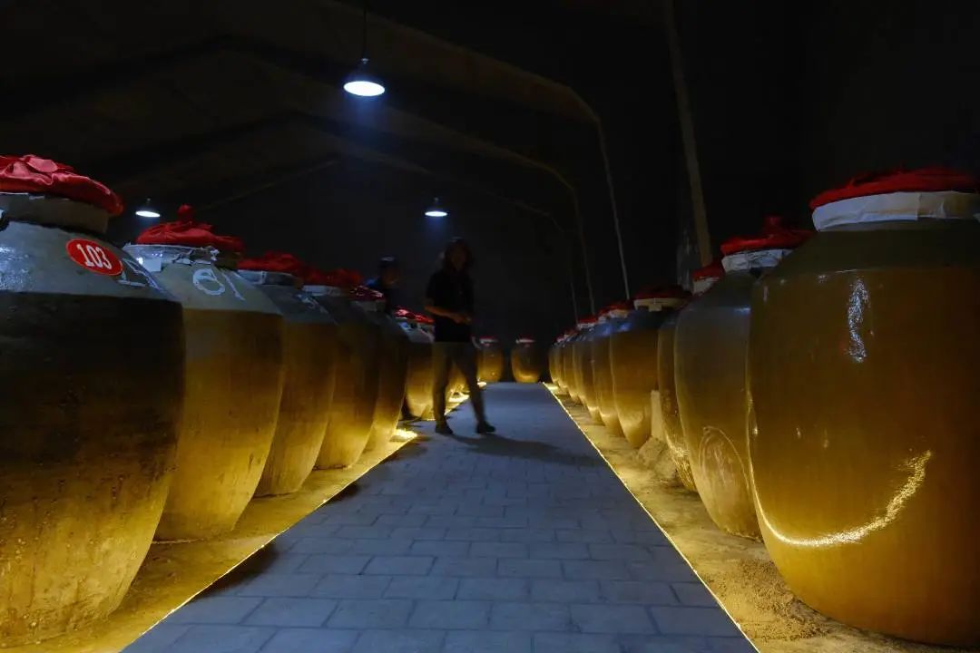 倡引健康饮酒新时代:健康品类白酒新典范九龙醉酒!