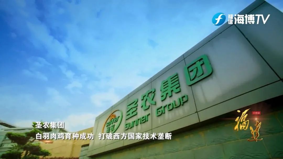 从负债累累,到年入百亿!傅光明:我不是中国“鸡王”