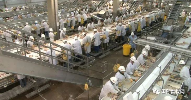美国最大肉类供应商泰森食品将裁员10% 包括15%的高管