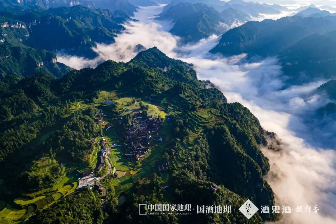 品味内参大师酒是一种幸福