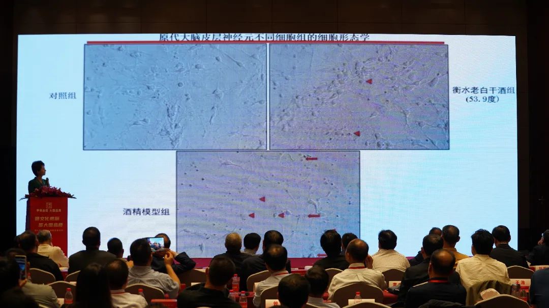 品质夯基，文化铸魂，衡水老白干站上高质量发展新台阶！