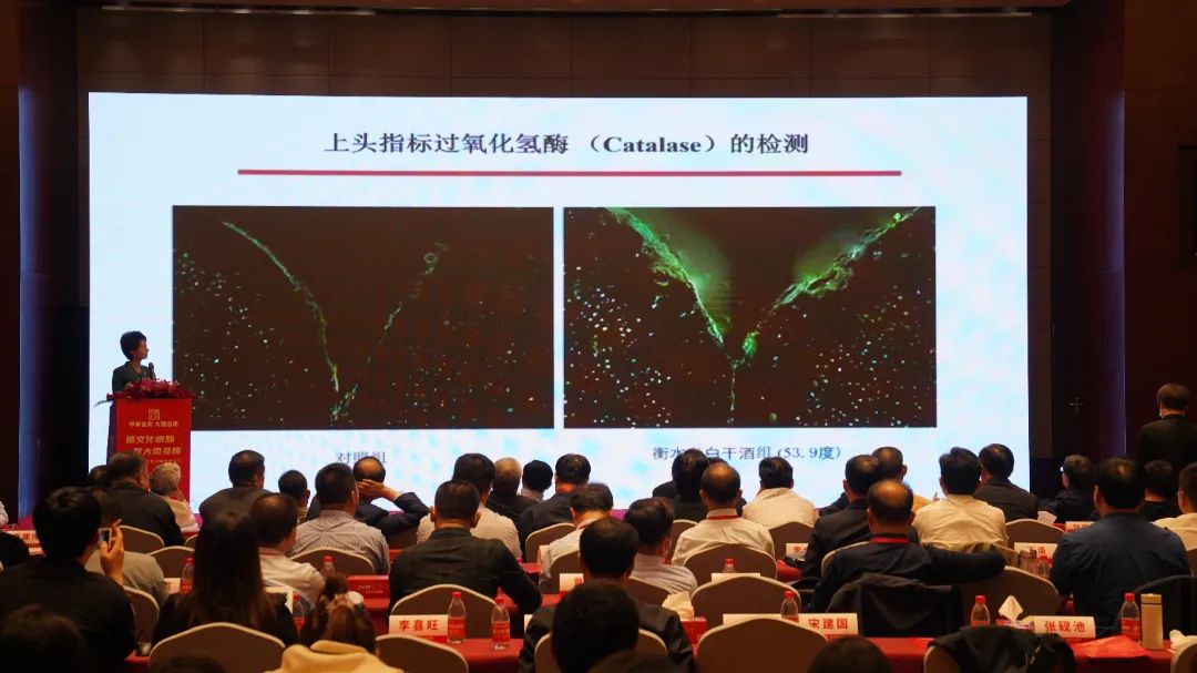 品质夯基，文化铸魂，衡水老白干站上高质量发展新台阶！