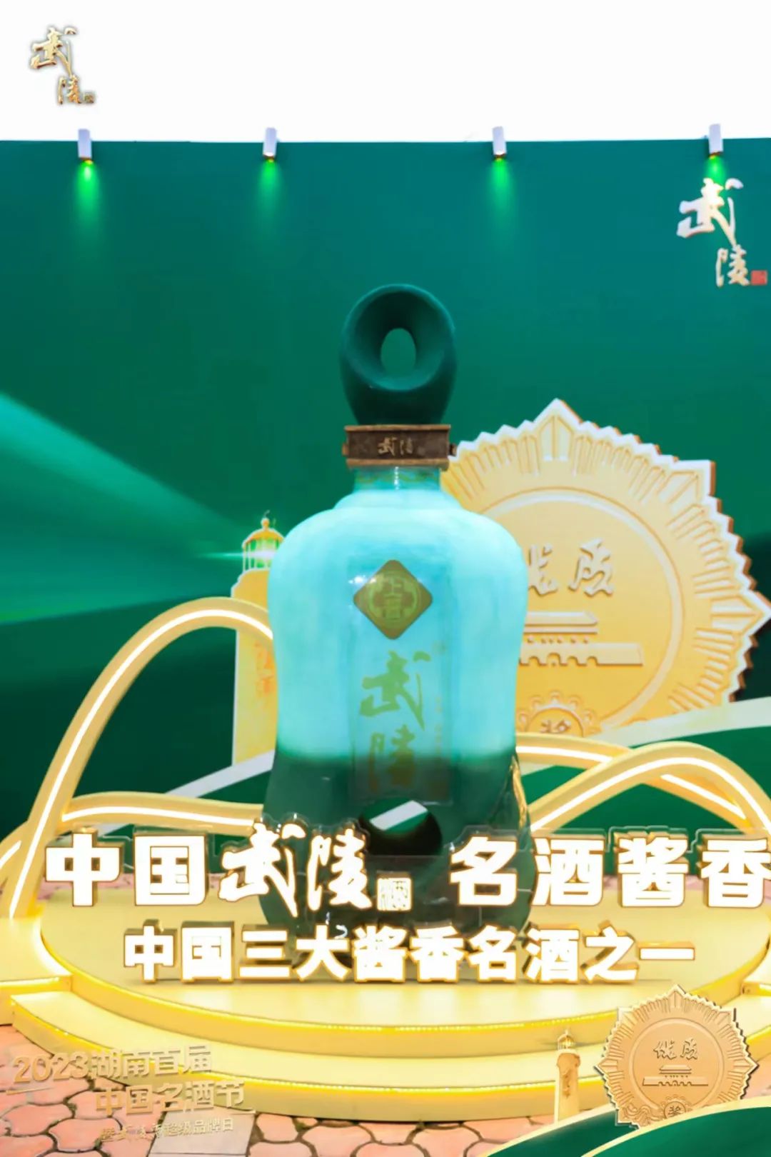 宋书玉:特色之路 武陵新篇