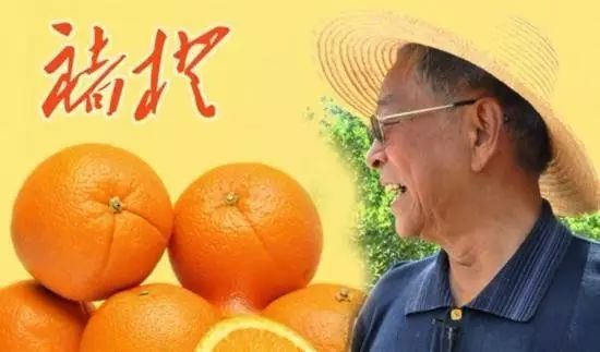 ​张云：打造新品牌的十大要点
