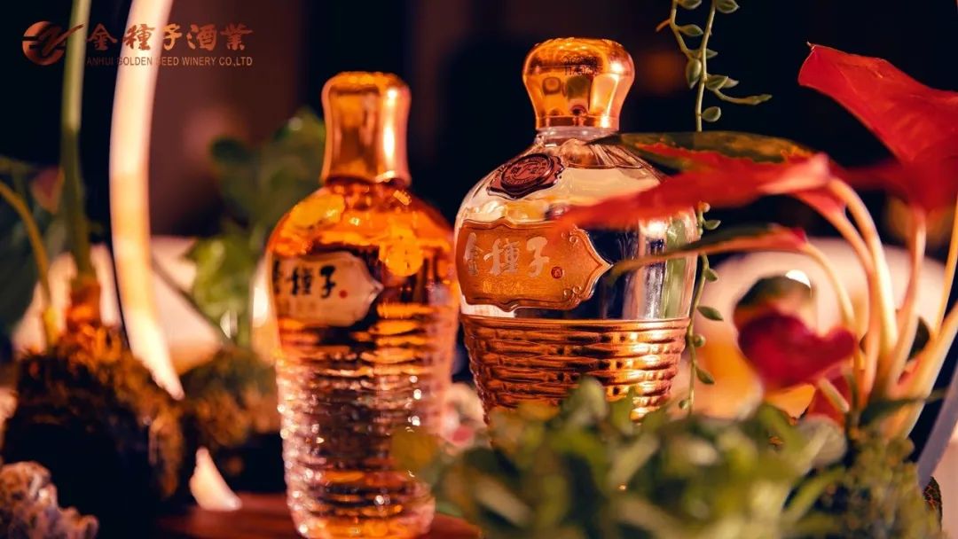馥合香科技研发基地挂牌!金种子探索白酒创新,又有重大成果
