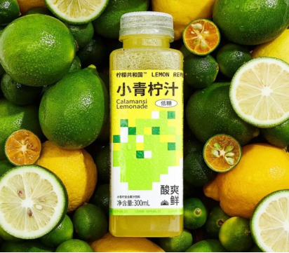 专访柠檬共和国耿少孟：虫子从来就没有被真正战胜过