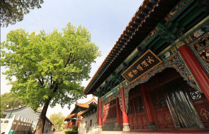 5大维度,预见清香型白酒风口已来